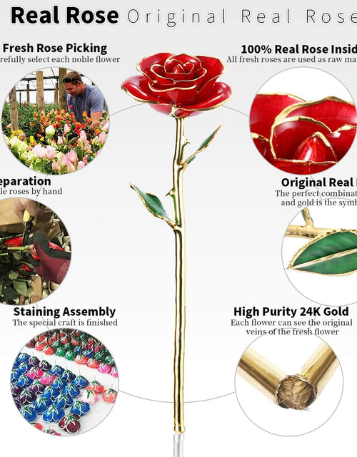 Load image into Gallery viewer, Valentines Day Gift Rose,24K Gold Real Rose Gift for Her and Great Valentines Gift for Her Rose, Red Rose with Stand
