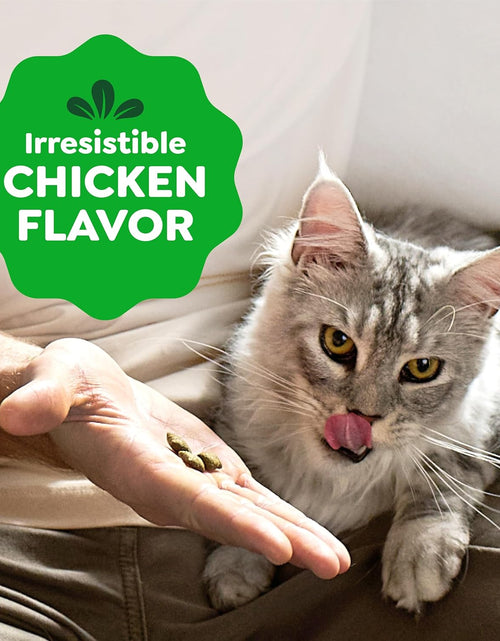 Load image into Gallery viewer, Feline SMARTBITES Healthy Skin and Fur, Chicken and Salmon Flavors, All Bag Sizes

