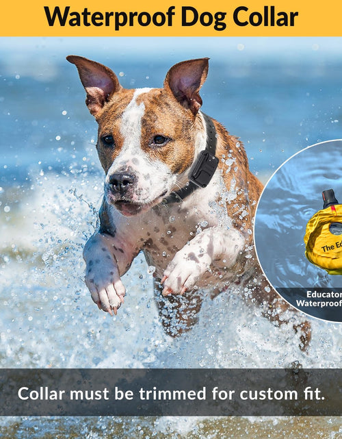 Load image into Gallery viewer, E-Collar Humane Dog Training Collar with Remote Features 100 Levels of Safe Stimulation, Tapping Sensation, Night Light, Waterproof, Rechargeable
