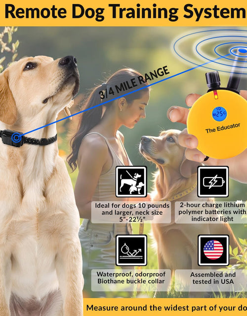 Load image into Gallery viewer, E-Collar Humane Dog Training Collar with Remote Features 100 Levels of Safe Stimulation, Tapping Sensation, Night Light, Waterproof, Rechargeable
