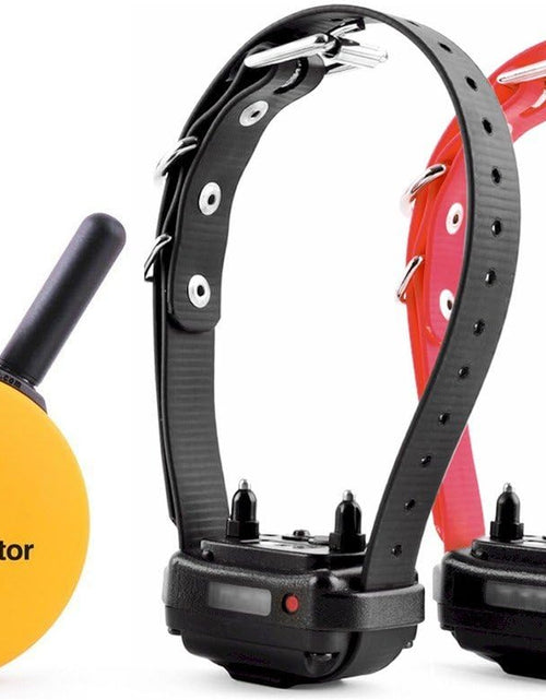 Load image into Gallery viewer, E-Collar Humane Dog Training Collar with Remote Features 100 Levels of Safe Stimulation, Tapping Sensation, Night Light, Waterproof, Rechargeable
