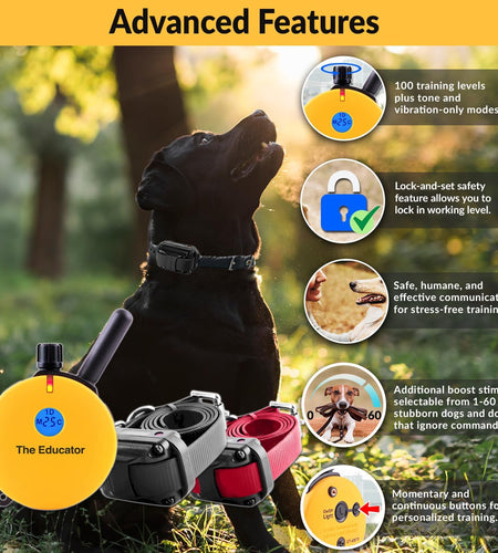 E-Collar Humane Dog Training Collar with Remote Features 100 Levels of Safe Stimulation, Tapping Sensation, Night Light, Waterproof, Rechargeable