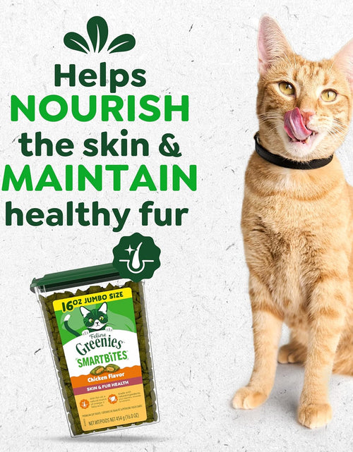Load image into Gallery viewer, Feline SMARTBITES Healthy Skin and Fur, Chicken and Salmon Flavors, All Bag Sizes
